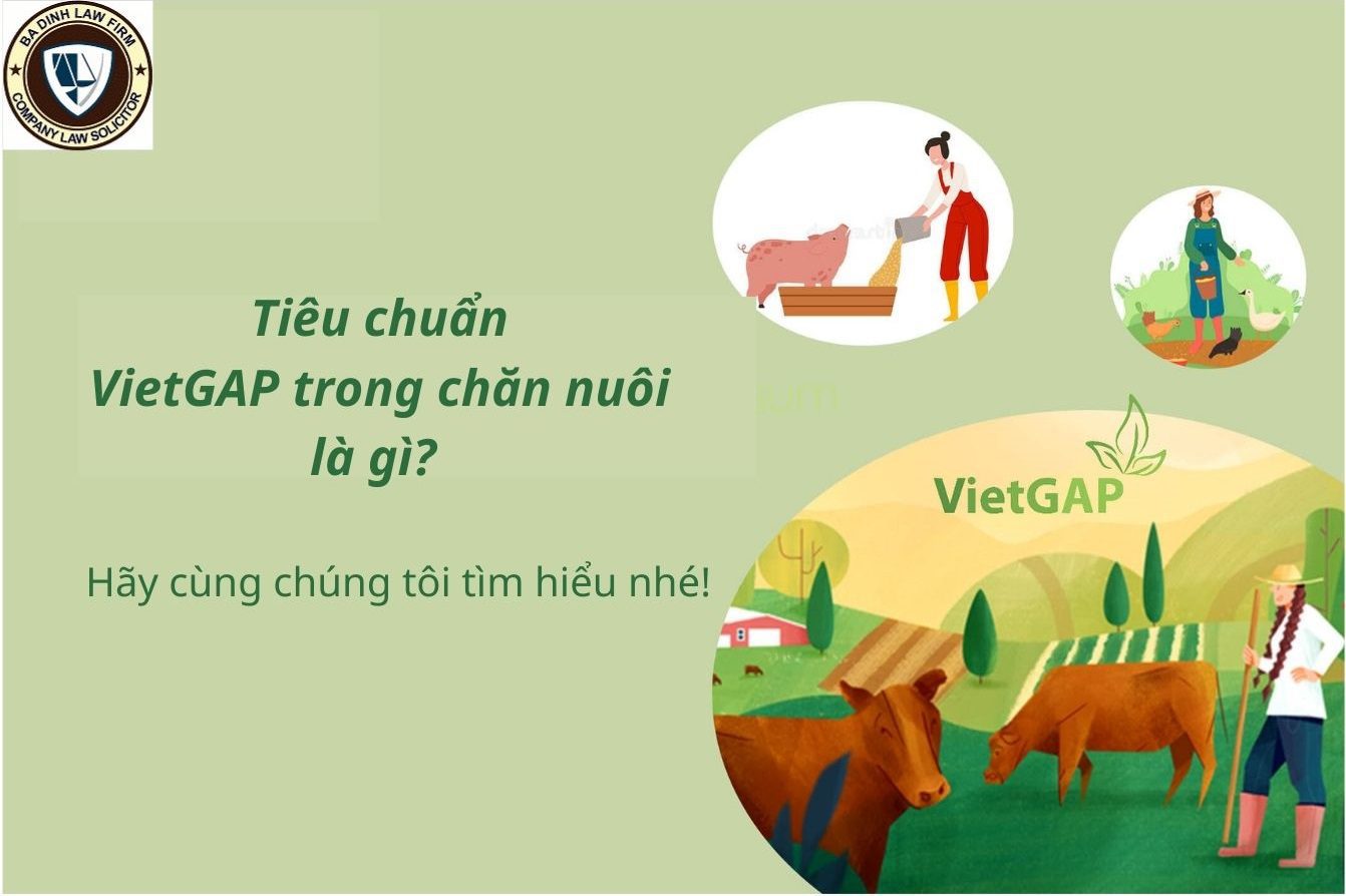Tiêu chuẩn VietGap trong chăn nuôi